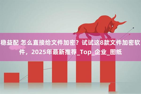 稳益配 怎么直接给文件加密？试试这8款文件加密软件，2025年最新推荐_Top_企业_图纸