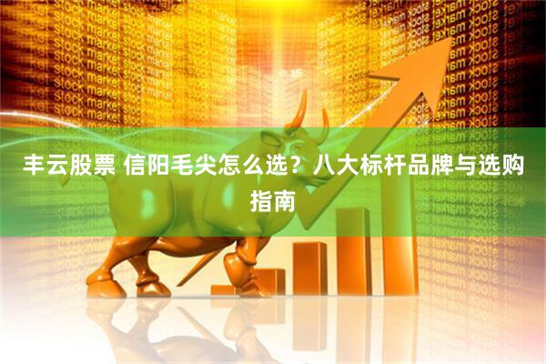 丰云股票 信阳毛尖怎么选？八大标杆品牌与选购指南